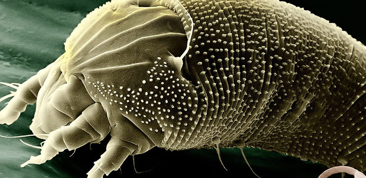 EL AIRE DE NUESTRAS CASAS Y OFICINAS, MÁS MORTÍFERO QUE LA CONTAMINACIÓN DEL EXTERIOR