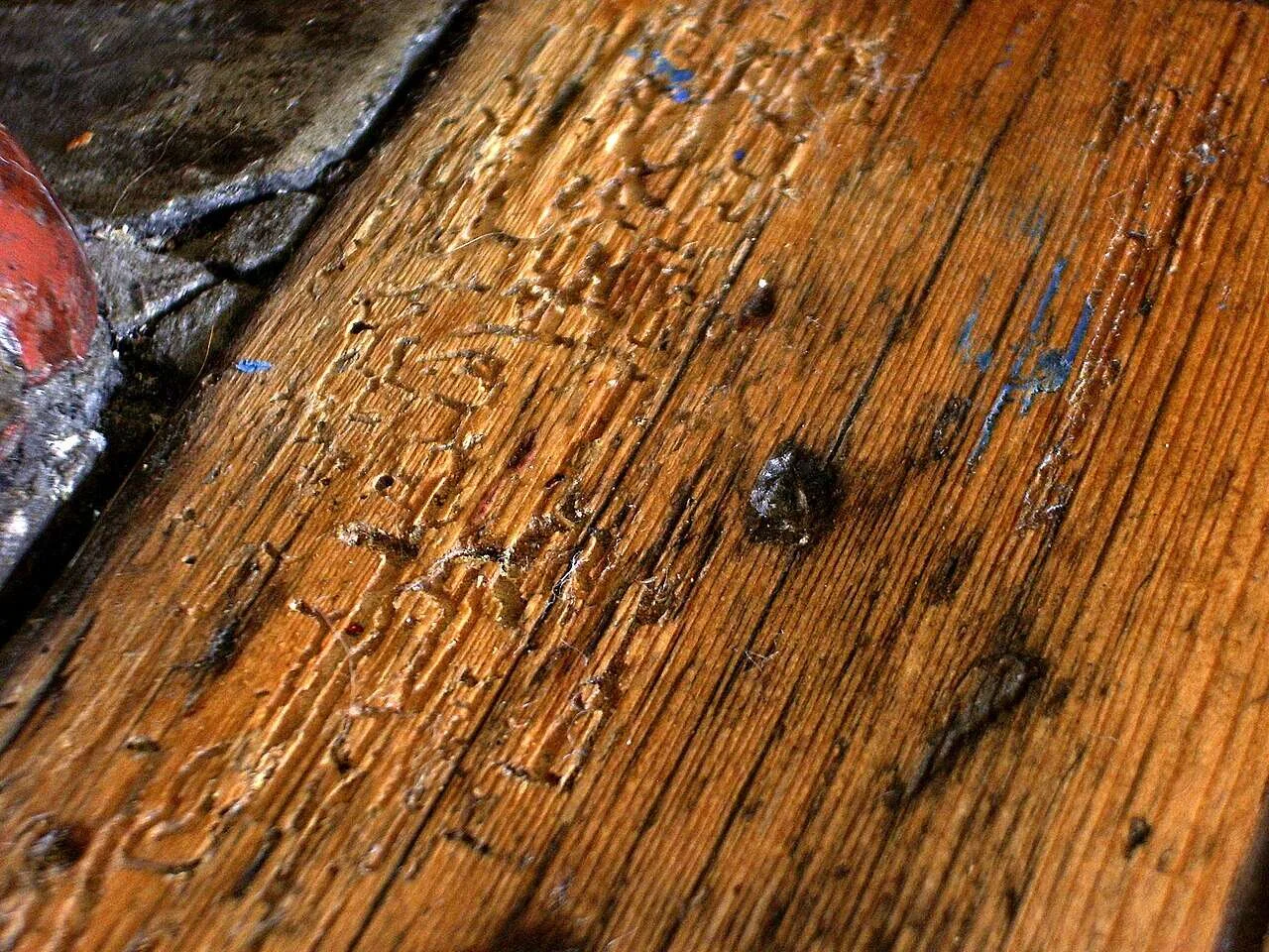 Tabla de un suelo de madera con las galerías y los agujeros que deja la carcoma