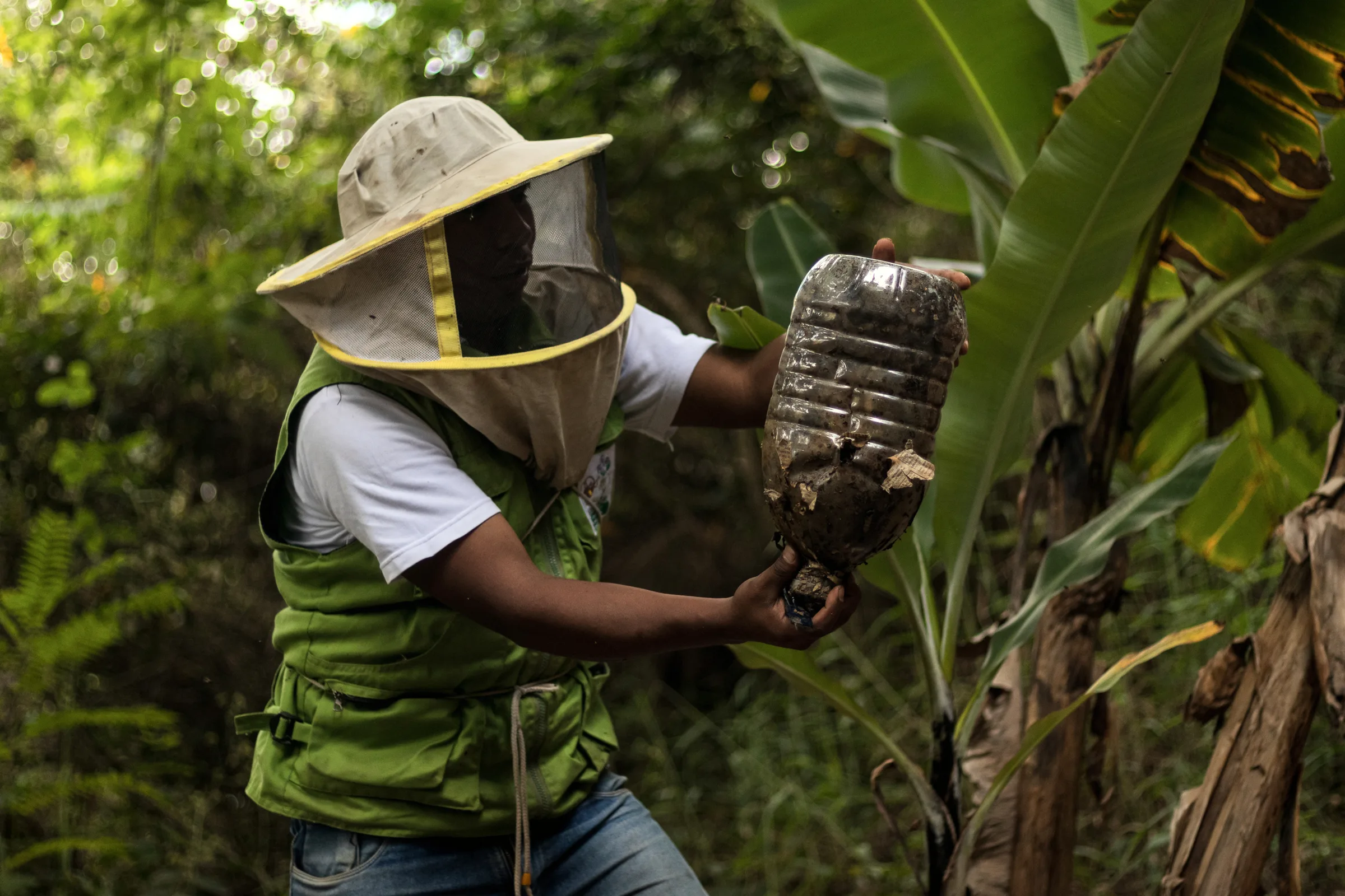 Técnico con equipo de apicultor trasladando una colmena de abejas viva